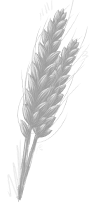 Blé