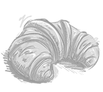 Croissant